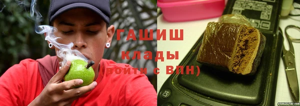 прущие грибы Алзамай