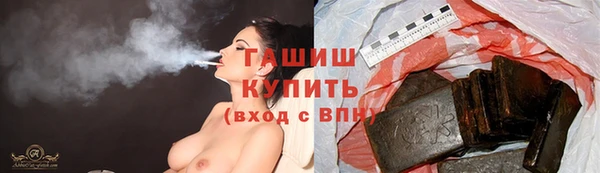 прущие грибы Алзамай