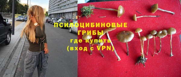 прущие грибы Алзамай