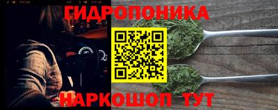 мяу мяу мука Кингисепп
