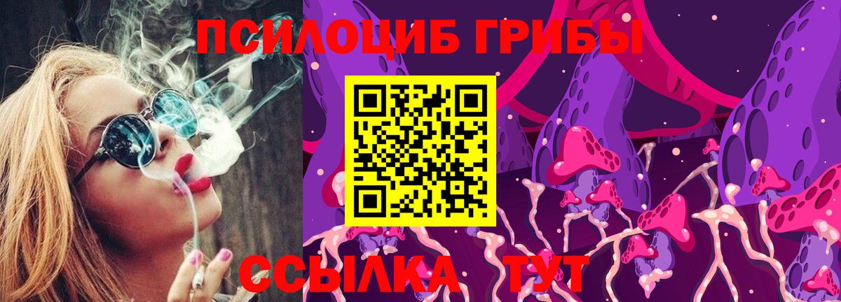 Галлюциногенные грибы GOLDEN TEACHER  Вход с VPN  Ливны 